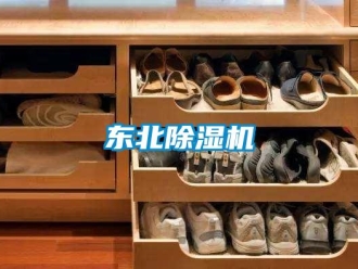 企業新聞東北除濕機