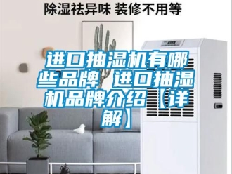 企業新聞進口抽濕機有哪些品牌 進口抽濕機品牌介紹【詳解】