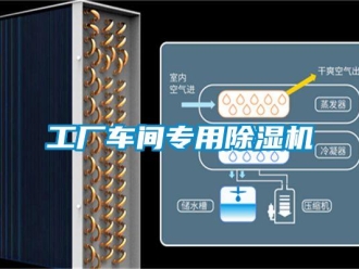 企業(yè)新聞工廠車間專用除濕機(jī)