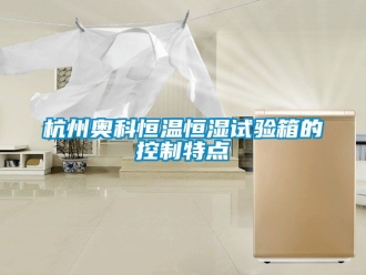 知識百科杭州奧科恒溫恒濕試驗(yàn)箱的控制特點(diǎn)