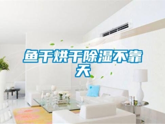 知識百科魚干烘干除濕不靠天