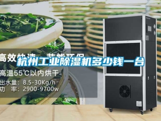 常見問題杭州工業(yè)除濕機多少錢一臺