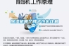 除濕機哪個牌子性價比最高？