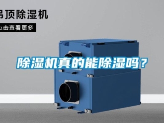 常見問題除濕機(jī)真的能除濕嗎？