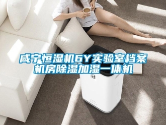 知識(shí)百科咸寧恒濕機(jī)6Y實(shí)驗(yàn)室檔案機(jī)房除濕加濕一體機(jī)