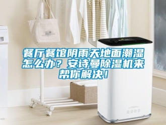 企業(yè)新聞餐廳餐館陰雨天地面潮濕怎么辦？安詩曼除濕機來幫你解決！
