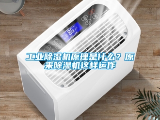 常見問題工業除濕機原理是什么？原來除濕機這樣運作