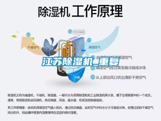 行業(yè)新聞江蘇除濕機_重復