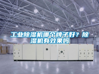 常見問題工業除濕機哪個牌子好？除濕機有效果嗎