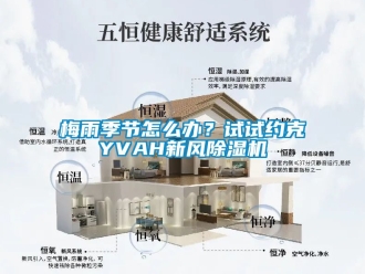 常見問題梅雨季節怎么辦？試試約克YVAH新風除濕機