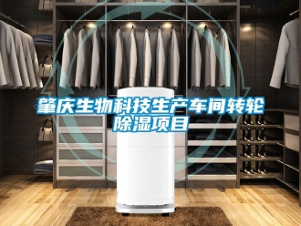 常見問題肇慶生物科技生產(chǎn)車間轉(zhuǎn)輪除濕項目