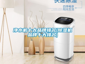 企業(yè)新聞凈水機(jī)十大品牌排名(除濕機(jī)品牌十大排名)