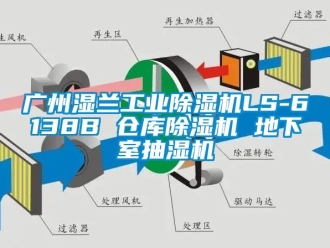 常見問題廣州濕蘭工業(yè)除濕機(jī)LS-6138B 倉庫除濕機(jī) 地下室抽濕機(jī)