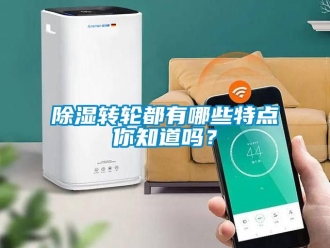 常見問題除濕轉(zhuǎn)輪都有哪些特點(diǎn)你知道嗎？