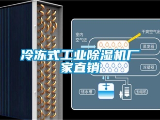 企業(yè)新聞冷凍式工業(yè)除濕機廠家直銷