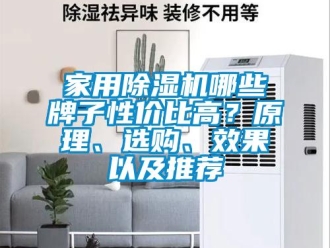 常見問題家用除濕機哪些牌子性價比高？原理、選購、效果以及推薦