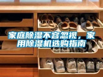 常見問題家庭除濕不容忽視，家用除濕機選購指南