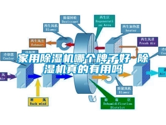 常見問題家用除濕機哪個牌子好 除濕機真的有用嗎