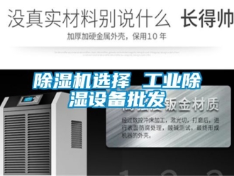 常見問題除濕機選擇 工業(yè)除濕設(shè)備批發(fā)