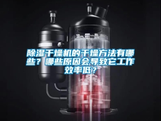 企業(yè)新聞除濕干燥機的干燥方法有哪些？哪些原因會導(dǎo)致它工作效率低？