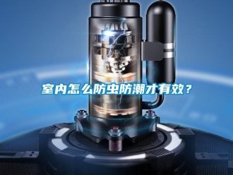 常見問題室內怎么防蟲防潮才有效？