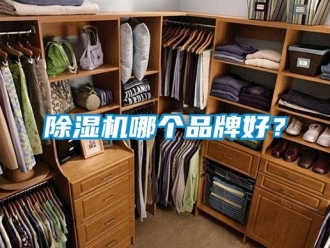 企業新聞除濕機哪個品牌好？
