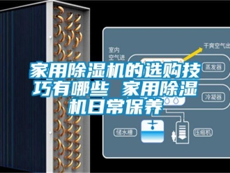 常見(jiàn)問(wèn)題家用除濕機(jī)的選購(gòu)技巧有哪些 家用除濕機(jī)日常保養(yǎng)