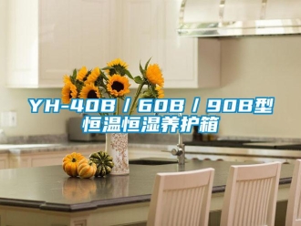 常見問題YH-40B／60B／90B型恒溫恒濕養護箱