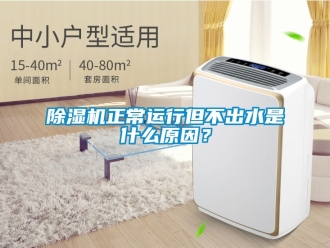 行業新聞除濕機正常運行但不出水是什么原因？