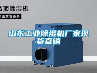 企業(yè)新聞山東工業(yè)除濕機(jī)廠家現(xiàn)貨直銷