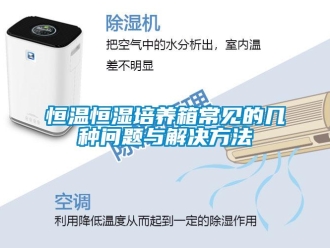 知識百科恒溫恒濕培養(yǎng)箱常見的幾種問題與解決方法