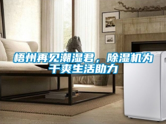 行業新聞梧州再見潮濕君，除濕機為干爽生活助力
