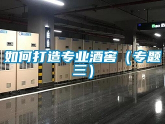 常見問題如何打造專業(yè)酒窖（專題三）