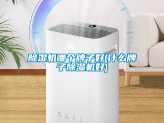 行業(yè)新聞除濕機(jī)哪個(gè)牌子好(什么牌子除濕機(jī)好)