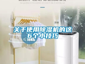 行業(yè)新聞關(guān)于使用除濕機(jī)的這6個(gè)小技巧
