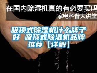 企業(yè)新聞吸頂式除濕機什么牌子好 吸頂式除濕機品牌推薦【詳解】