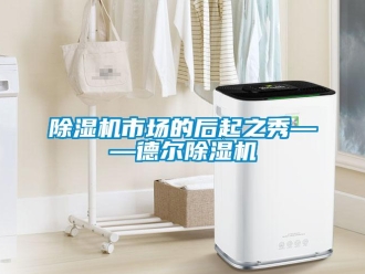 企業(yè)新聞除濕機(jī)市場(chǎng)的后起之秀——德?tīng)柍凉駲C(jī)