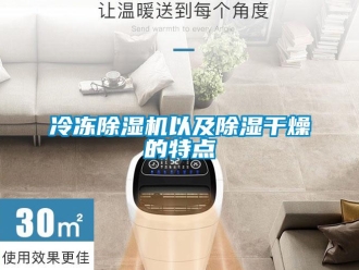 行業新聞冷凍除濕機以及除濕干燥的特點