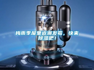 行業(yè)新聞梅雨季屋里返潮發(fā)霉，快來除濕吧！