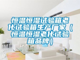 知識百科恒溫恒濕試驗箱老化試驗箱生產廠家（恒溫恒濕老化試驗箱品牌）