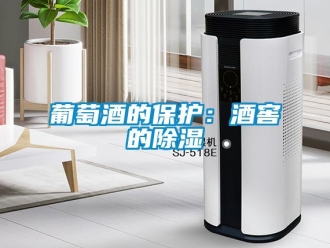行業(yè)新聞葡萄酒的保護(hù)：酒窖的除濕