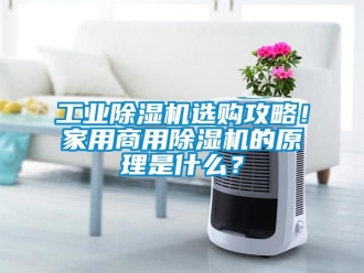 常見問題工業除濕機選購攻略！家用商用除濕機的原理是什么？