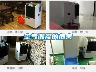 行業(yè)新聞空氣潮濕的危害
