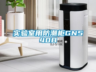 常見問題實驗室用防潮柜GN540B