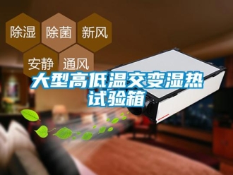 常見問題大型高低溫交變濕熱試驗(yàn)箱