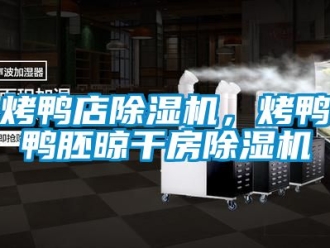 行業(yè)新聞烤鴨店除濕機(jī)，烤鴨鴨胚晾干房除濕機(jī)