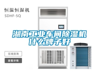 常見問題湖南工業(yè)車間除濕機(jī)什么牌子好
