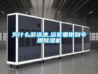 知識百科為什么游泳池,浴室要用到專用除濕機