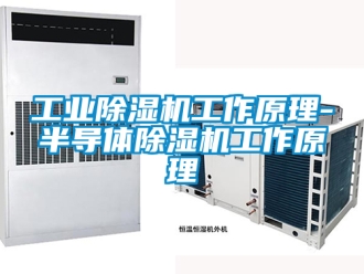 常見(jiàn)問(wèn)題工業(yè)除濕機(jī)工作原理-半導(dǎo)體除濕機(jī)工作原理