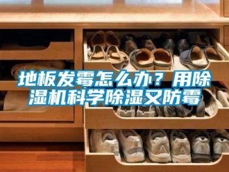 行業(yè)新聞地板發(fā)霉怎么辦？用除濕機科學除濕又防霉